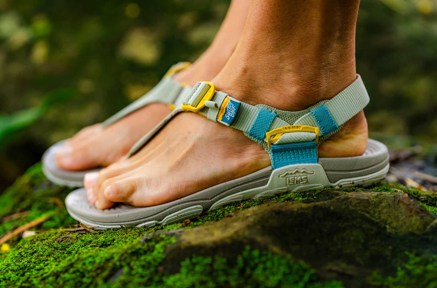 Naisten Switchback Sandal Knit - Dew