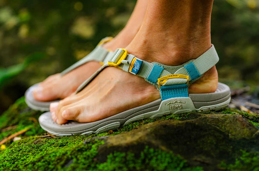 Naisten Switchback Sandal Knit - Dew